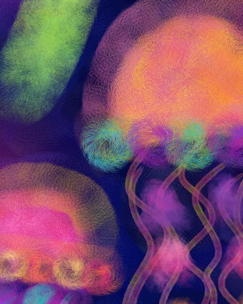preview of watercolor translucent multicolor photoshop brushes, jellyfish illustration