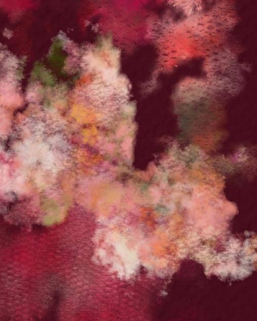 preview of floral and lace multicolor photoshop brushes