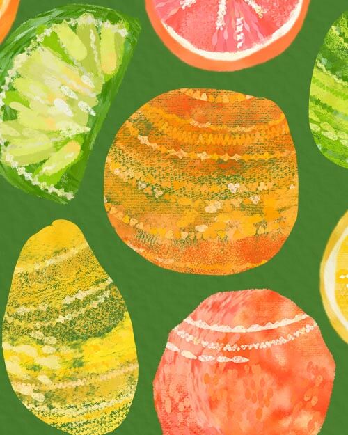 preview of pattern and texture photoshop brushes, citrus fruit illustration