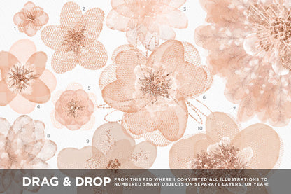 Feathery Flowers | Shimmering peach illustrations & digital papers, tulle floral illustrations