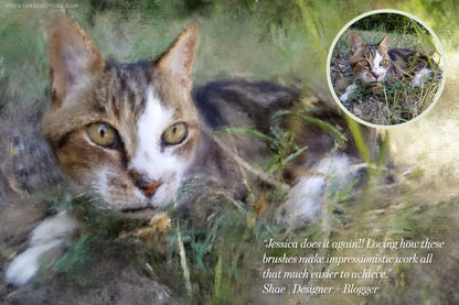 impressionist painting effect photoshop brushes, from photo to painting effect, Cat portrait sample before and after